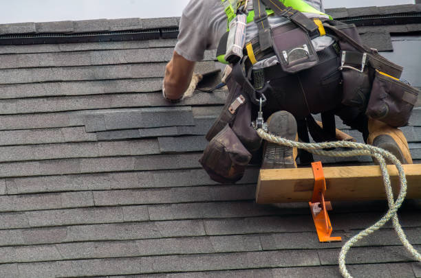 Best Roof Gutter Cleaning  in Pontiac, MI